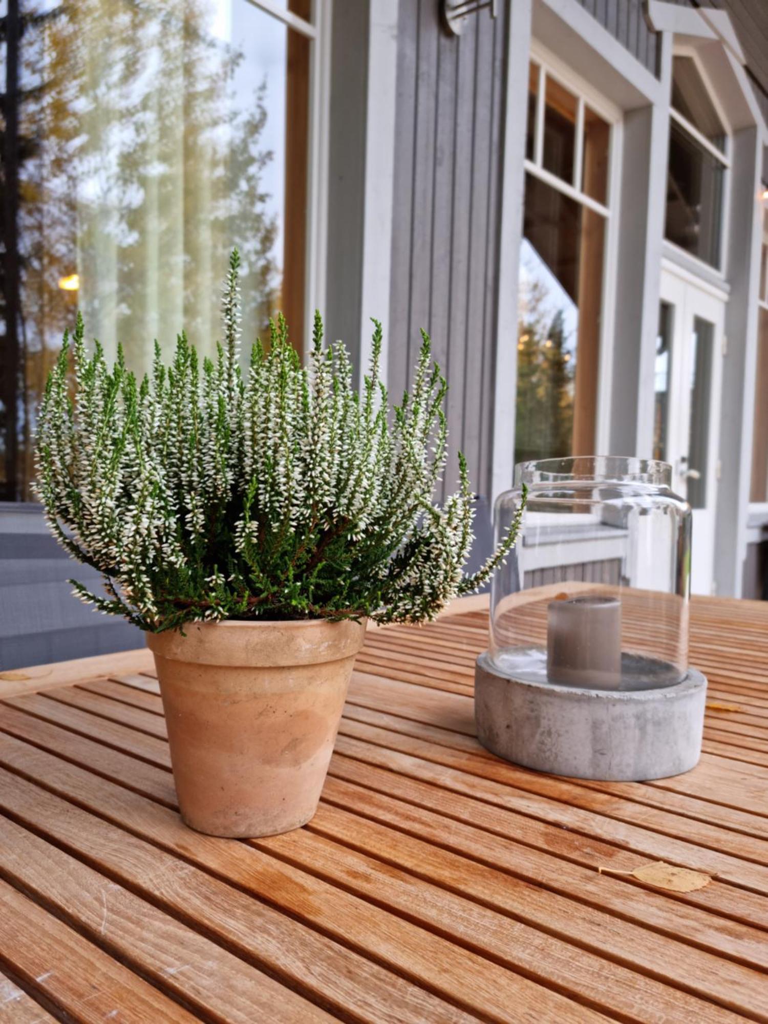 Miiluranta Villas Haapamäki Exteriér fotografie